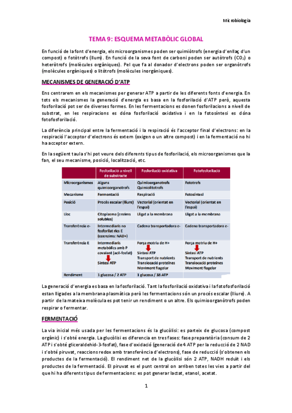 Miniatura del documento TEMA-9.pdf