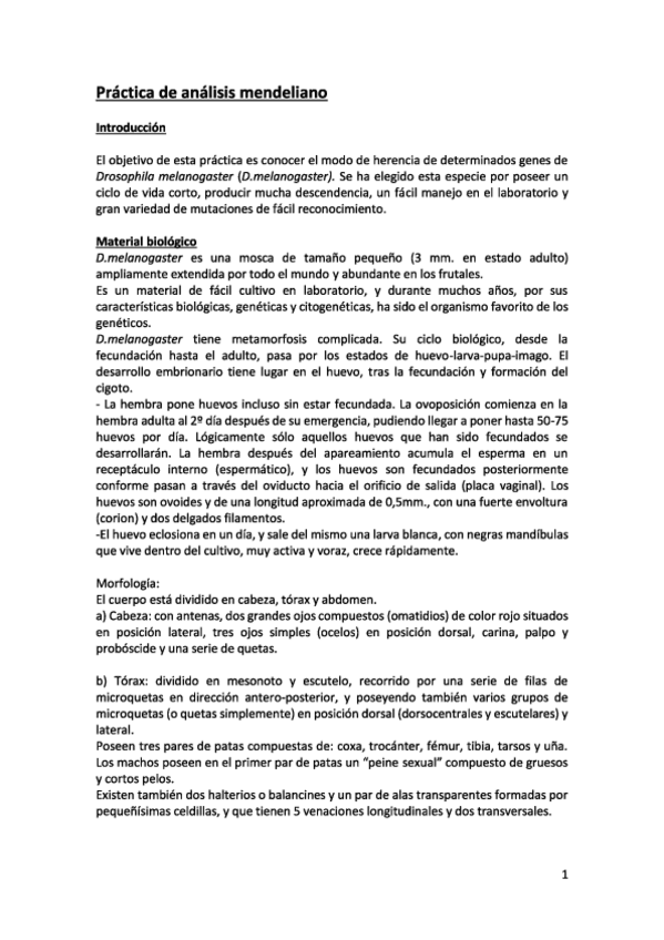 Miniatura del documento informe prácticas primer cuatrimestre.pdf