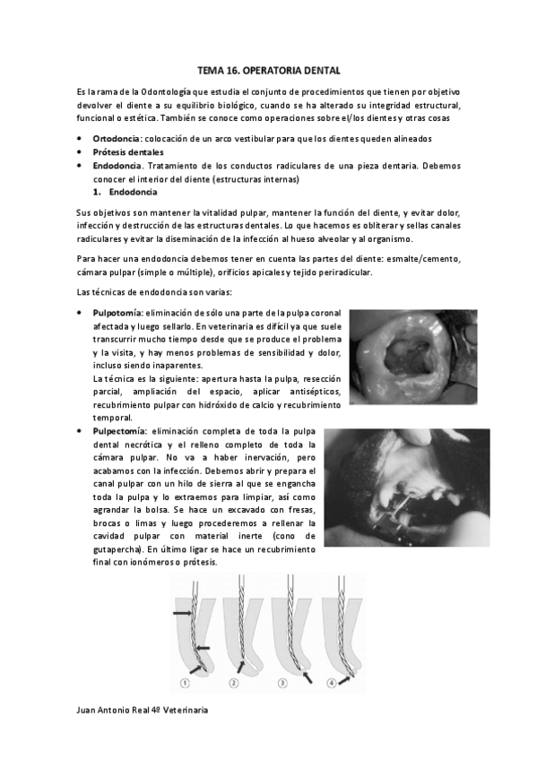 Miniatura del documento Tema-16-.pdf