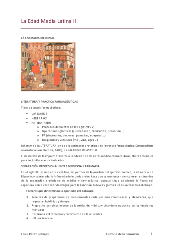 Miniatura del documento La-Edad-Media-Latina-II.pdf