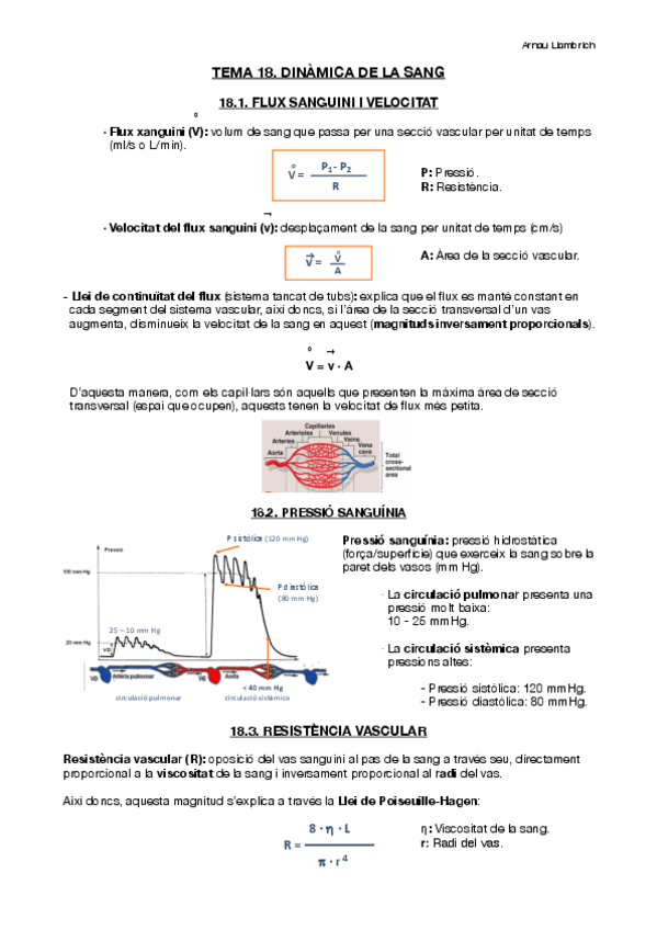 Miniatura del documento Apunts-Fisiologia-i-Fisiopatologia-II-Tema-18.pdf