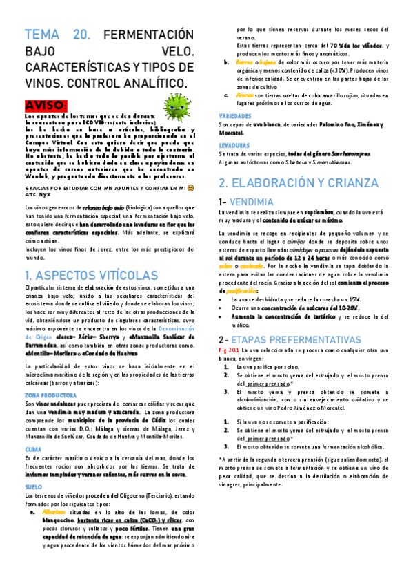 Miniatura del documento TEMA-20.pdf