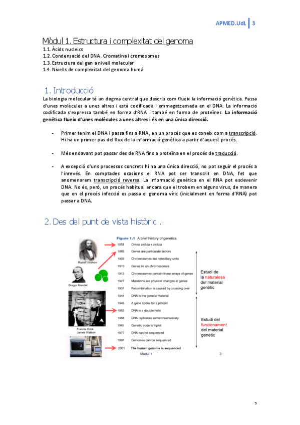 Miniatura del documento 1.pdf