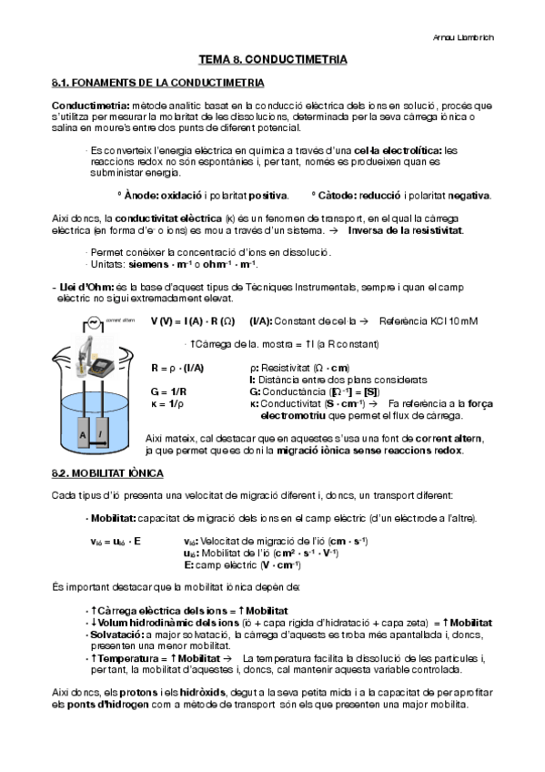 Miniatura del documento Apunts-Tecniques-Instrumentals-Tema-8.pdf