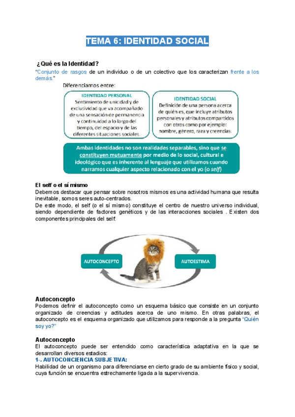 Miniatura del documento TEMA-6-IDENTIDAD-SOCIAL.pdf