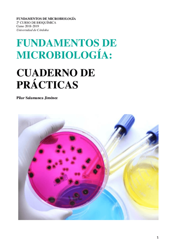 Miniatura del documento MEMORIA-PRACTICAS-MICROBIOLOGIA.pdf