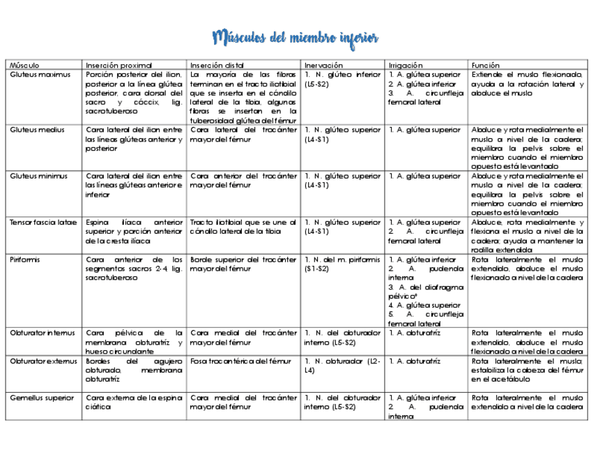 Miniatura del documento Musculos-del-miembro-inferior.pdf