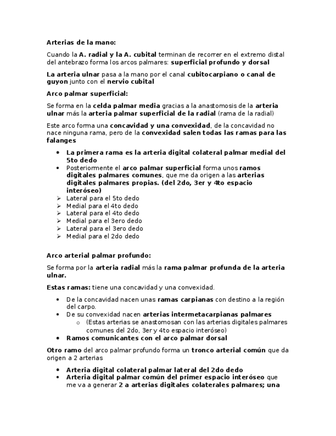 Miniatura del documento Arterias-venas-de-la-mano-y-brazo.docx