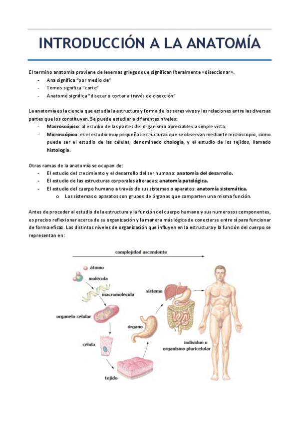 Miniatura del documento INTRODUCCION-A-LA-ANATOMIA.pdf