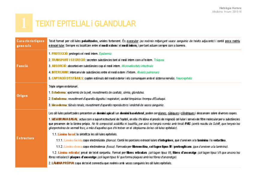 Miniatura del documento 1. Teixit epitelial i glandular.pdf