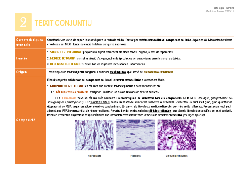 Miniatura del documento 2. Teixit conjuntiu.pdf