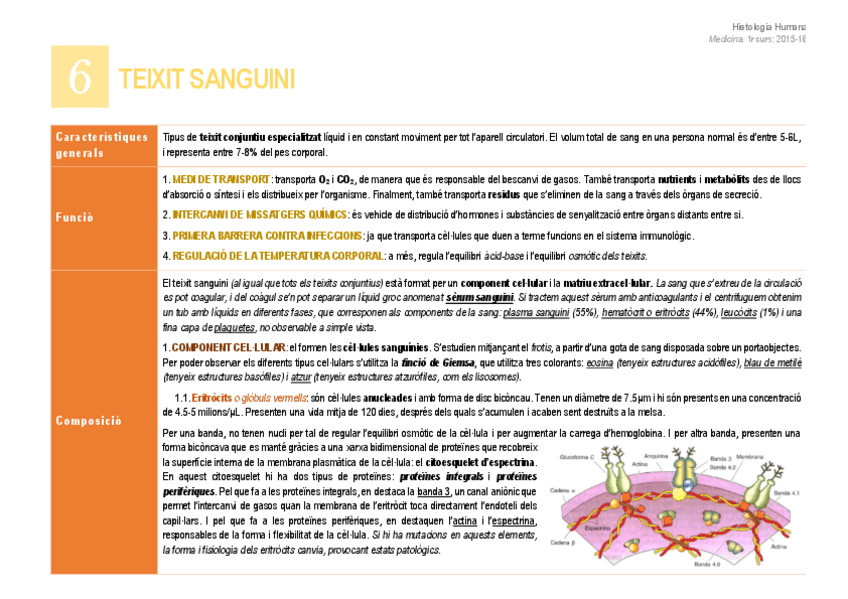 Miniatura del documento 6. Teixit sanguini.pdf