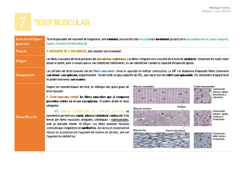 Miniatura del documento 7. Teixit muscular.pdf
