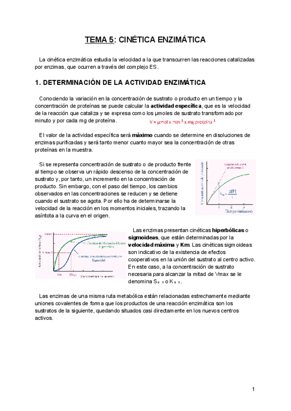 Miniatura del documento Tema 6 BQE-.pdf