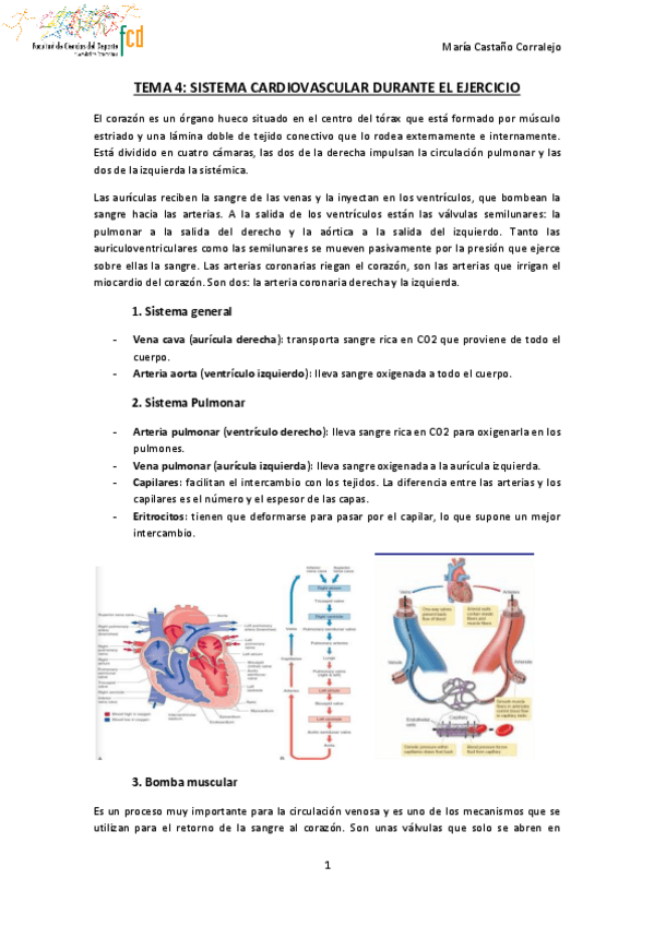Miniatura del documento TEMA-4-FISIOLOGIA-DEL-EJERCICIO.pdf