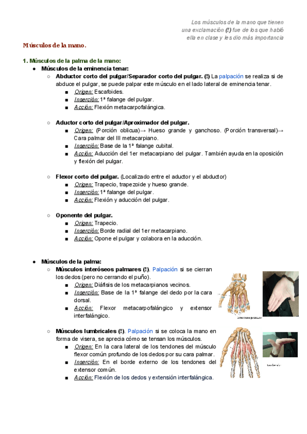 Miniatura del documento Musculos-de-la-mano.pdf