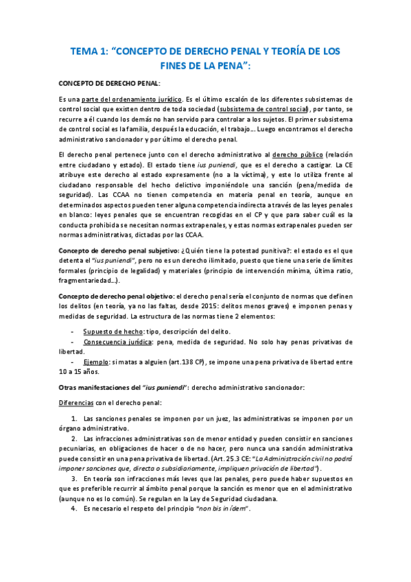 Miniatura del documento tema-1-penal.pdf