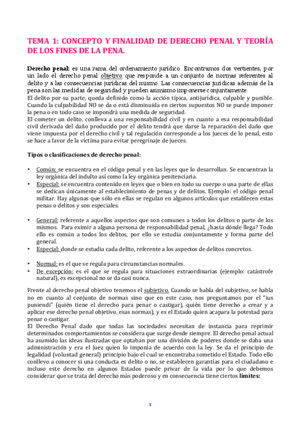 Miniatura del documento PENAL-APUNTES.pdf