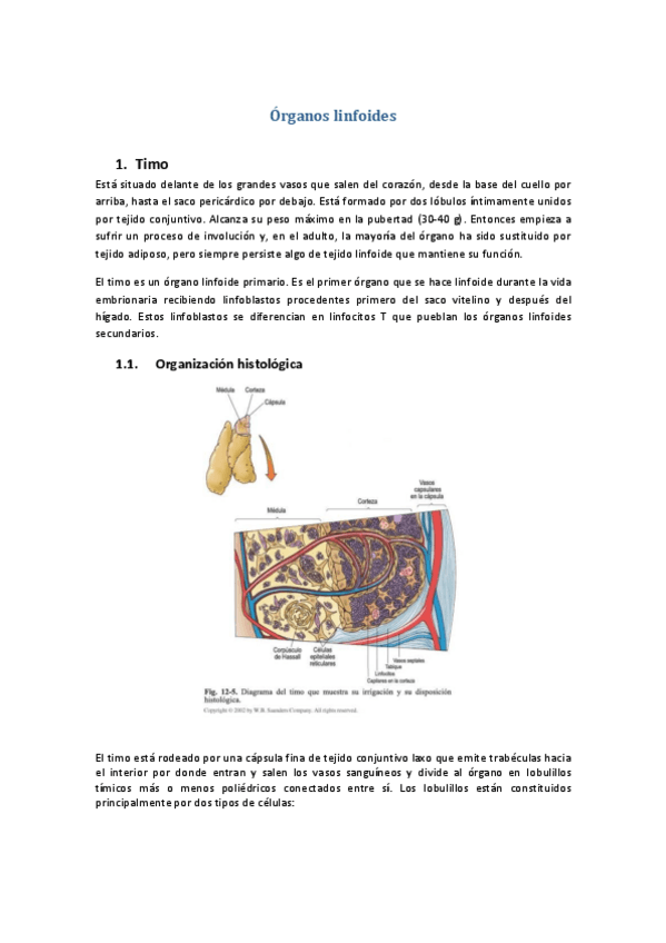 Miniatura del documento Tema-41-Organos-linfoides.pdf