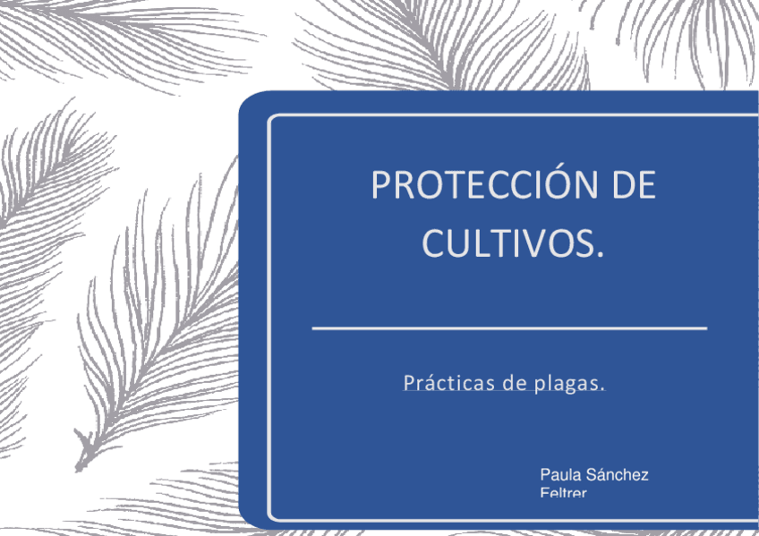 Miniatura del documento PCUL.pdf