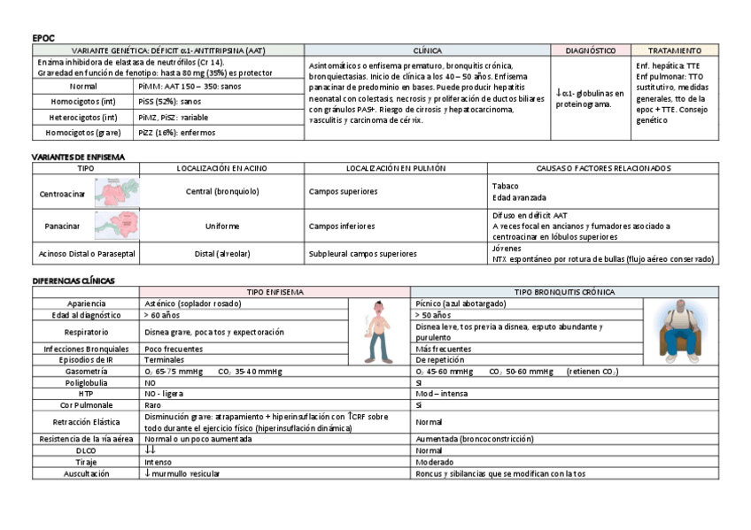 Miniatura del documento Neumologia.pdf