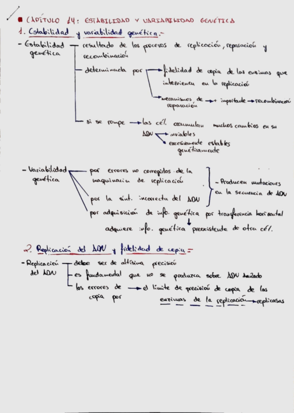 Miniatura del documento 7c95439aaa15426caa257802f7448829.pdf