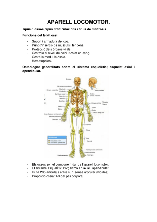Miniatura del documento APARELL-LOCOMOTOR.pdf