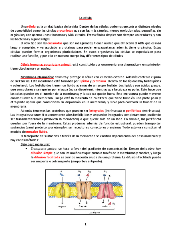 Miniatura del documento TEMARIO-BIOLOGIA.pdf