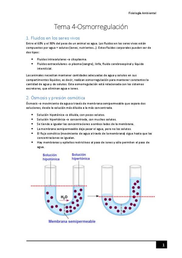 Miniatura del documento Tema-4-Osmorregulacion.pdf