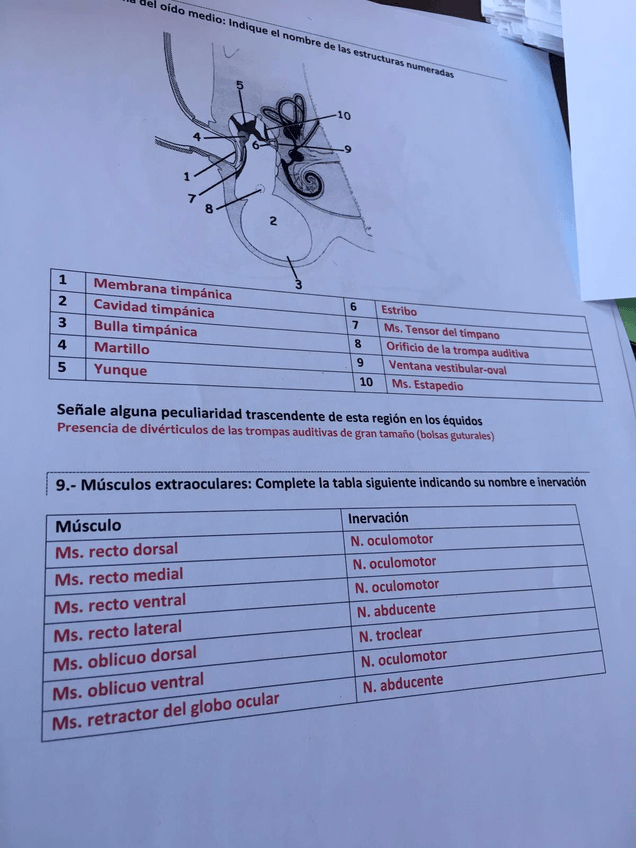 Miniatura del documento IMG-20190520-WA0006.jpg