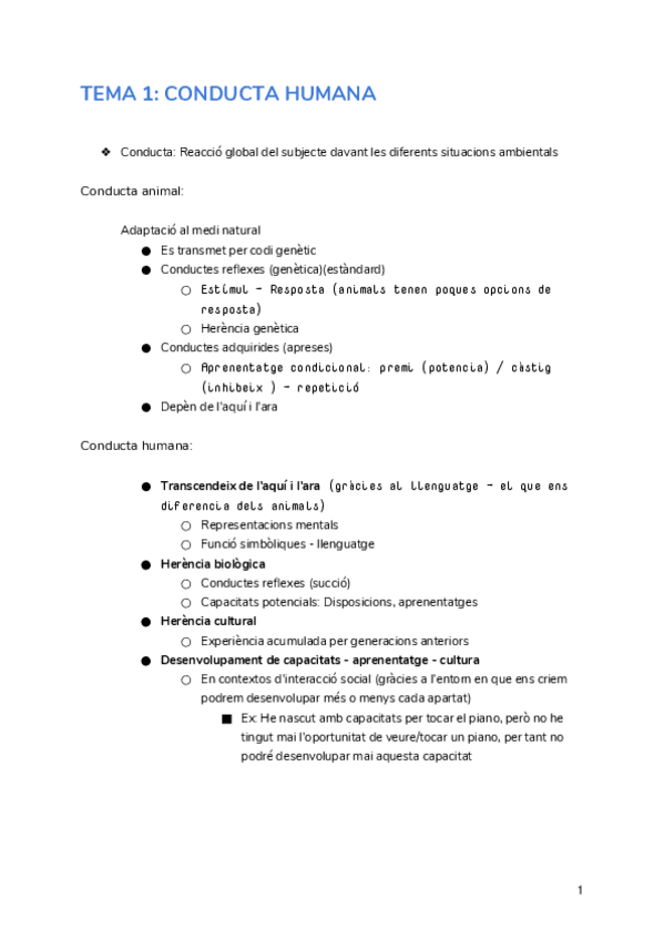 Miniatura del documento APUNTS-DESENVOLUPAMENT.docx