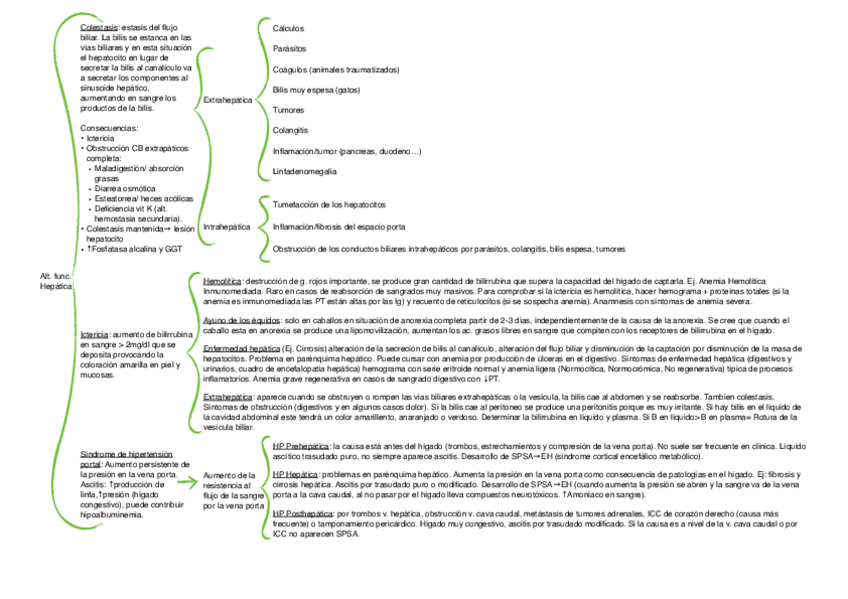 Miniatura del documento PG-esquema-higado.pdf