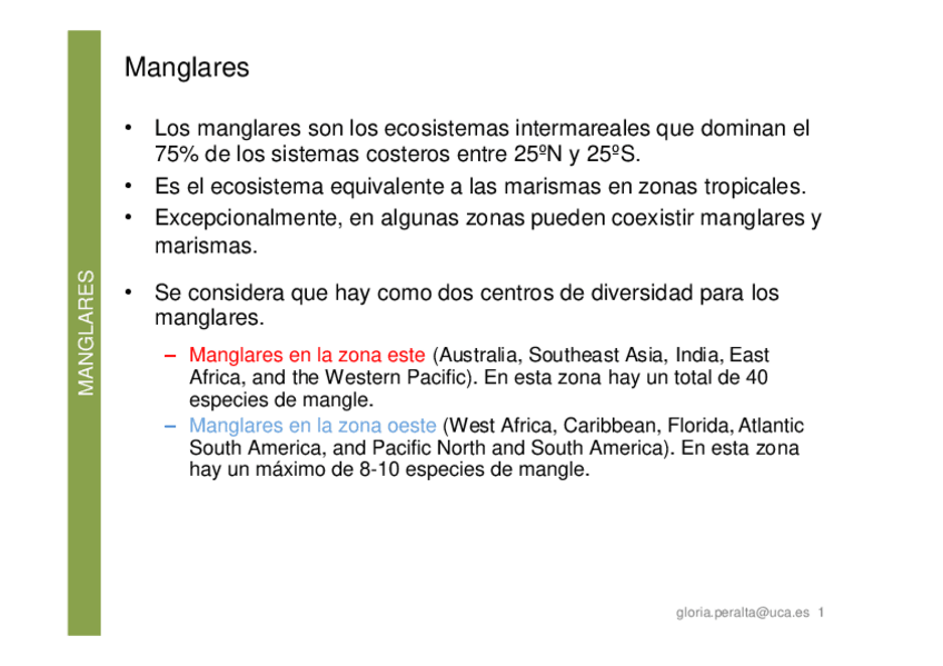 Miniatura del documento 3-MANGLARES-APUNTES.pdf