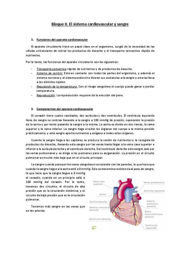 Miniatura del documento Bloque-II-Sistema-cardiovascular-y-sangre.pdf