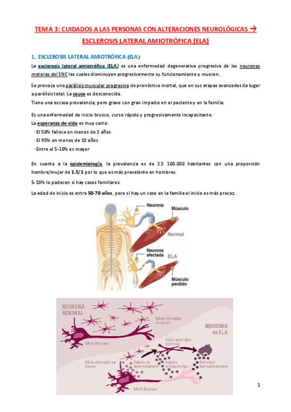 Miniatura del documento TEMA-3-esclerosis-lateral-amiotrofica-cuidados-a-la-persona-con-alteraciones-neurologicas.pdf