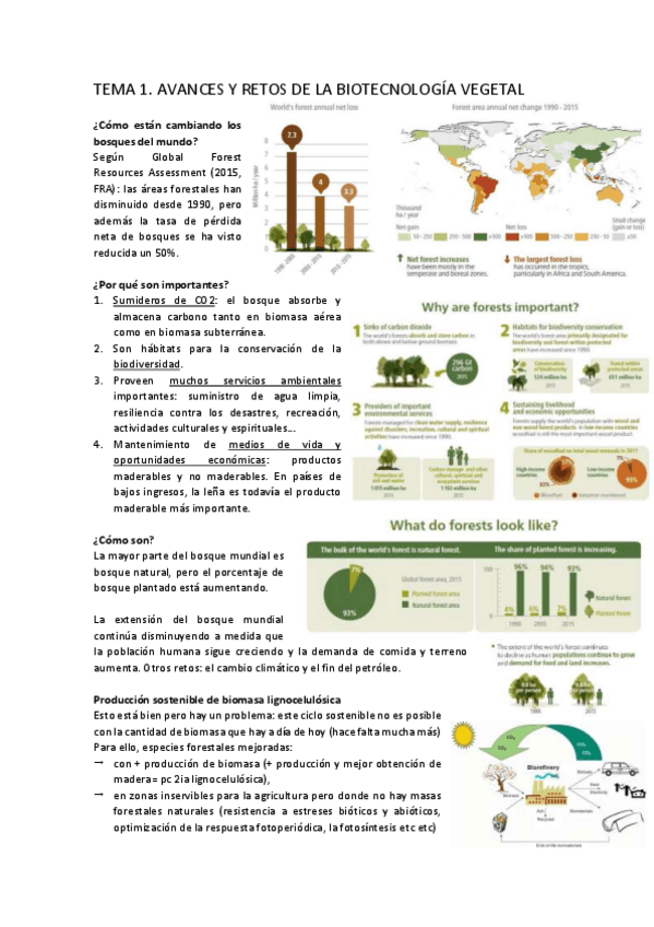 Miniatura del documento Tema-1.pdf