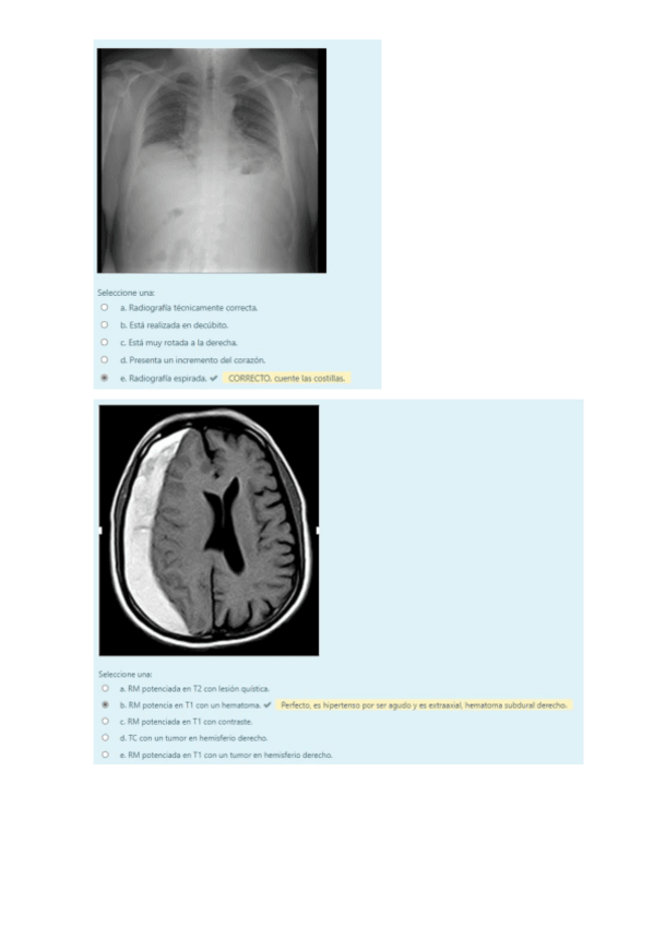 Miniatura del documento Seminario-Radiologia.pdf