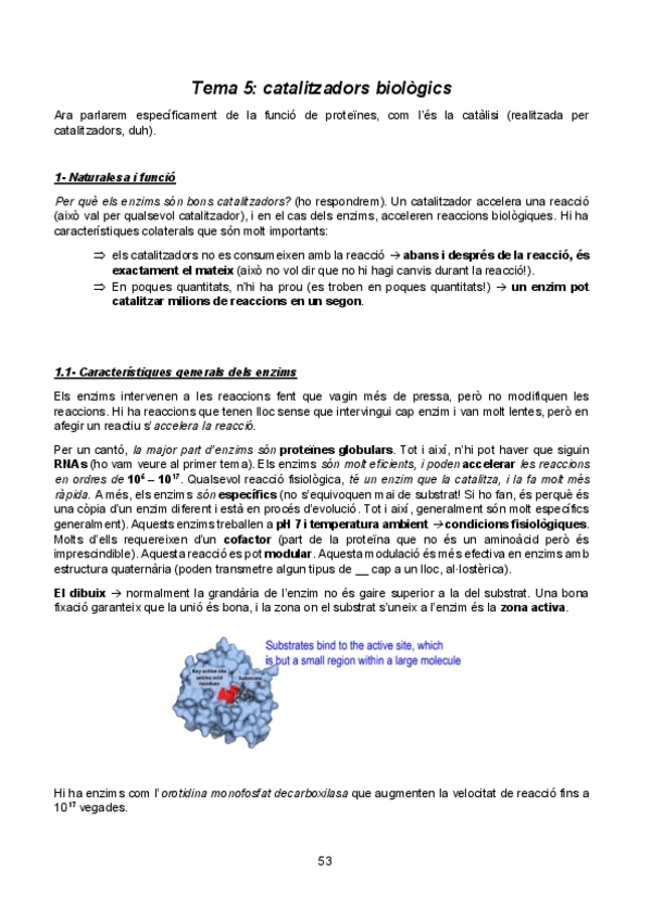 Miniatura del documento EFB-Tema-5-catalitzadors-biologics.pdf