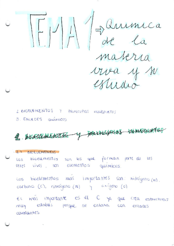 Miniatura del documento TEMA-1.pdf