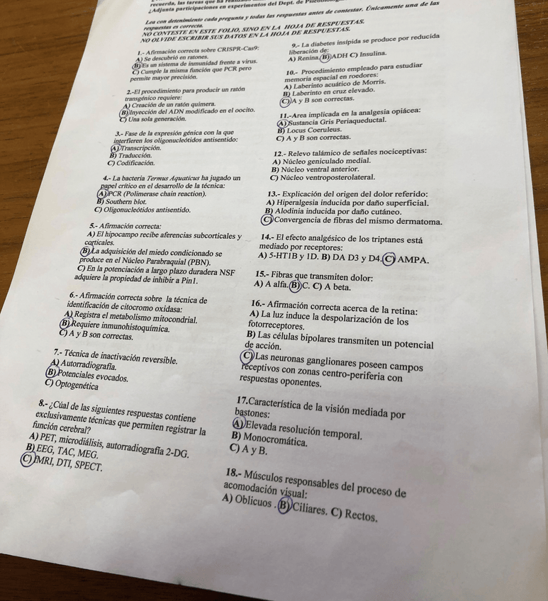 Miniatura del documento IMG-6393-copi.jpg