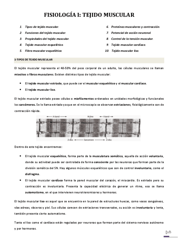 Miniatura del documento Tema-5-Tejido-muscular-APUNTS.pdf