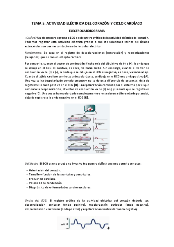 Miniatura del documento TEMA-5.pdf