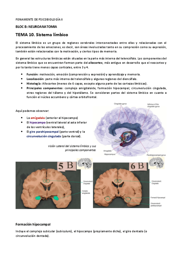 Miniatura del documento B10.pdf
