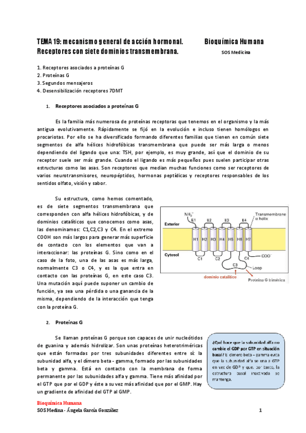 Miniatura del documento TEMA-19-mecanismo-general-de-accion-hormonal-3.pdf