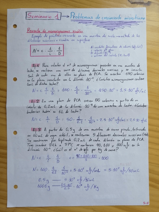 Miniatura del documento Seminarios-micro-Maria-Rodriguez.pdf