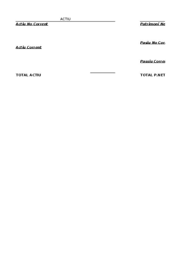 Miniatura del documento Plantilla-Comptabiltat.xlsx