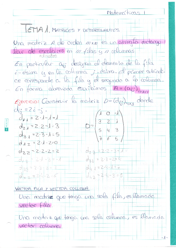 Miniatura del documento TEMA-1.pdf