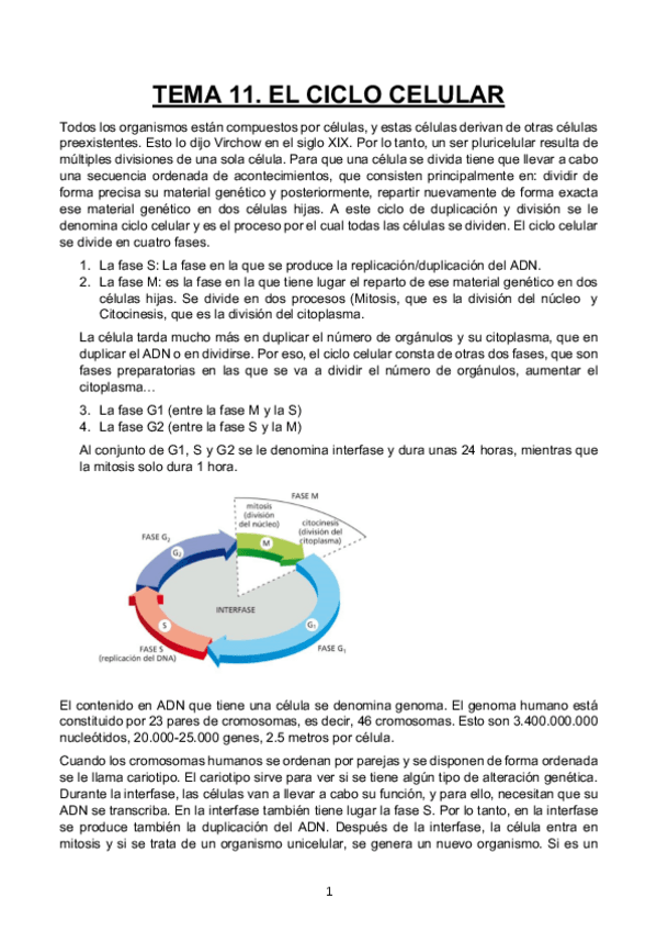 Miniatura del documento TEMA-11.pdf