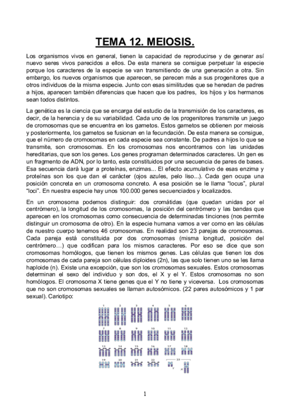 Miniatura del documento TEMA-12.pdf