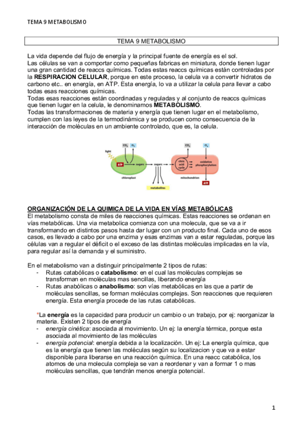 Miniatura del documento TEMA-9-METABOLISMO.pdf